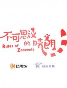 不可思议的晴朗分集剧情介绍(1-24集)大结局