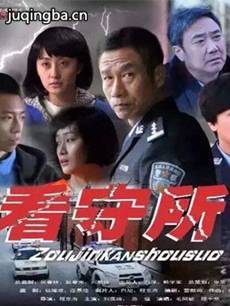 走进看守所分集剧情介绍(1-29集)大结局
