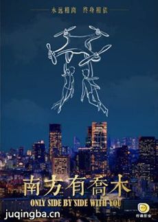 南方有乔木分集剧情介绍(1-40集)大结局