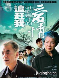 追赶我可能丢了的爱情分集剧情介绍(1-20集)大结局