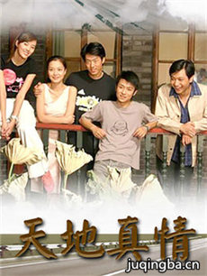 天地真情分集剧情介绍(1-252集)大结局