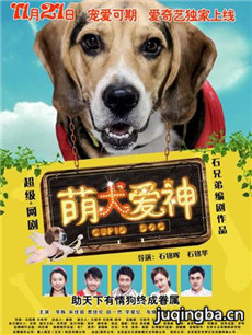 萌犬爱神分集剧情介绍(1-12集)大结局