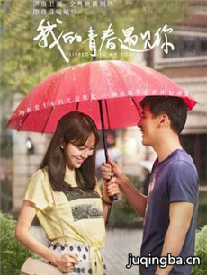 我的青春遇见你分集剧情介绍(1-56集)大结局