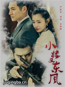 小楼又东风分集剧情介绍(1-46集)大结局