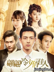 翩翩冷少俏佳人分集剧情介绍(1-30集)大结局