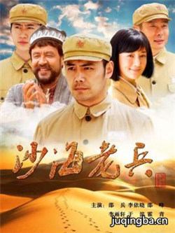 沙海老兵分集剧情介绍(1-26集)大结局