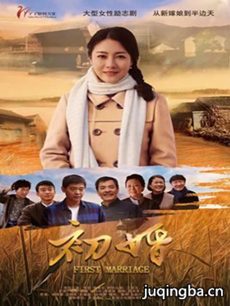 初婚分集剧情介绍(1-59集)大结局