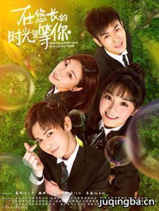 在悠长的时光里等你分集剧情介绍(1-12集)大结局