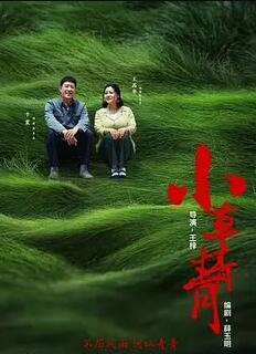 小草青青分集剧情介绍(1-55集)大结局