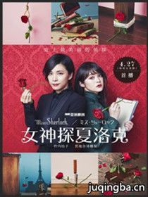女神探夏洛克分集剧情介绍(1-8集)大结局