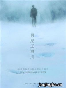 再见王沥川分集剧情介绍(1-8集)大结局