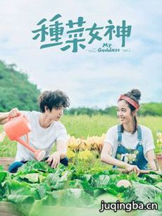 种菜女神分集剧情介绍(1-24集)大结局