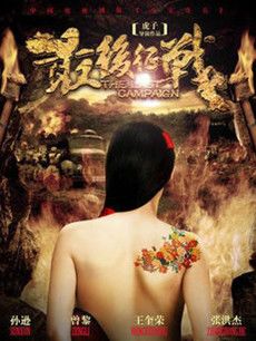 最后征战分集剧情介绍1-43集大结局