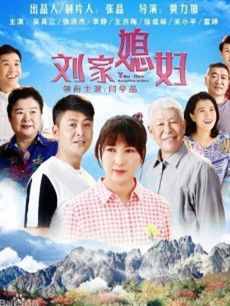 刘家媳妇分集剧情介绍(1-40集)大结局