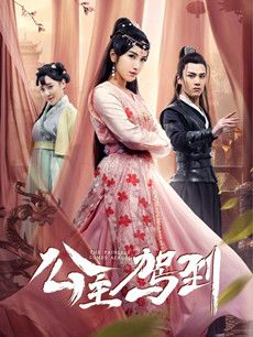 公主驾到分集剧情介绍(1-25集)大结局