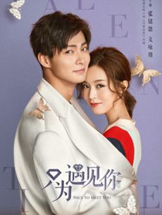 只为遇见你分集剧情介绍(1-53集)大结局