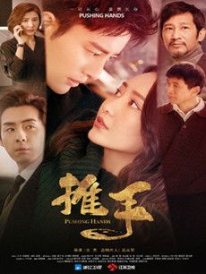 推手分集剧情介绍(1-47集)大结局