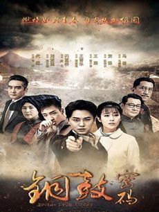 铜鼓密码分集剧情介绍(1-35集)大结局