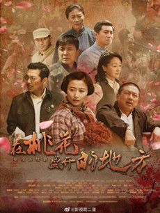 在桃花盛开的地方分集剧情介绍(1-30集)大结局