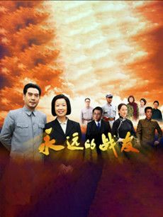 永远的战友分集剧情介绍(1-28集)大结局