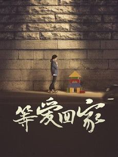 等爱回家分集剧情介绍(1-47集)大结局