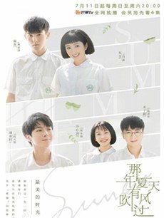 那年夏天有风吹过分集剧情介绍(1-27集)大结局
