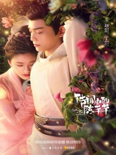 传闻中的陈芊芊分集剧情介绍(1-24集)大结局