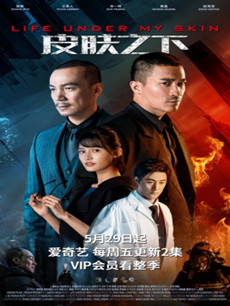 网剧皮肤之下分集剧情介绍(1-12集)大结局