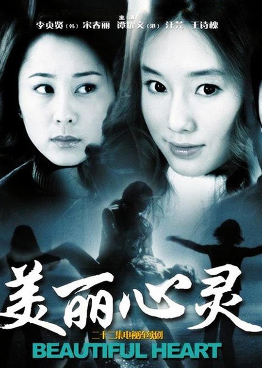美丽心灵分集剧情介绍1-22集大结局