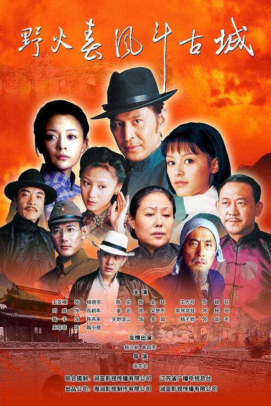 野火春风斗古城分集剧情介绍1-20集大结局