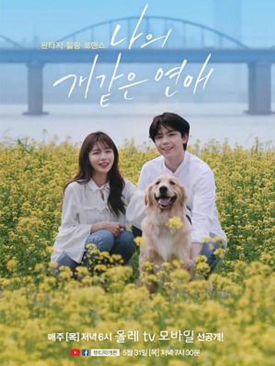 我这像狗一样的爱情剧情介绍