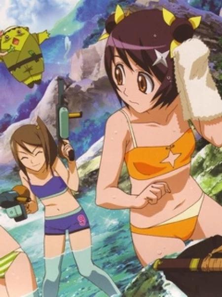 向日葵剧情介绍