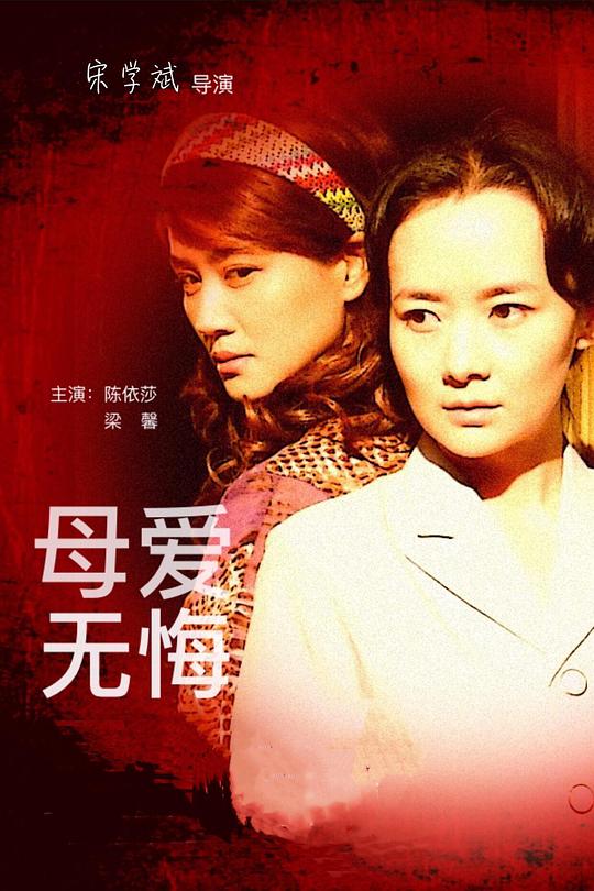 母爱无悔分集剧情介绍1-28集大结局
