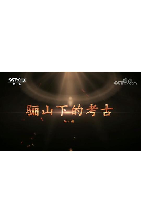 骊山下的考古剧情介绍