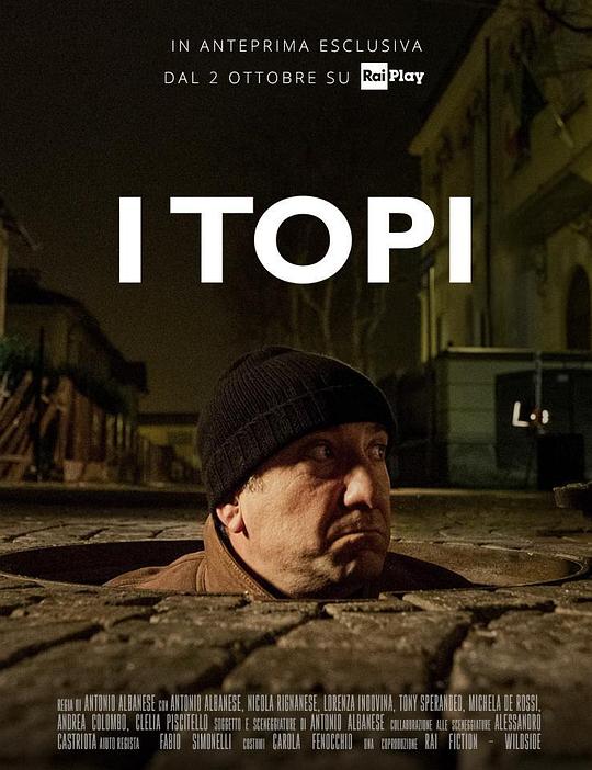 ˾