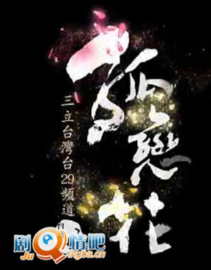 褰̨