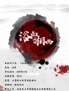 浴血湘西剧情介绍(1-40全集)