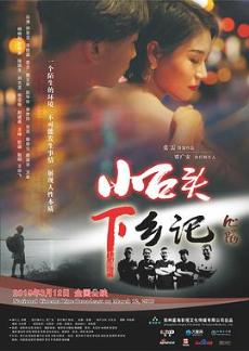 小石头下乡记剧情介绍