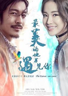 最美的地方遇见你剧情介绍