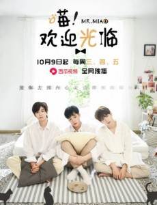 喵欢迎光临剧情介绍(1-24全集)