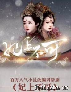妃上不可剧情介绍(1-45全集)