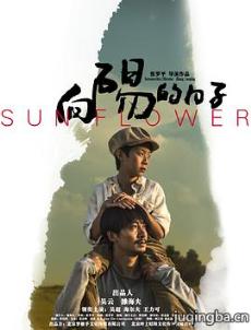 向阳的日子剧情介绍