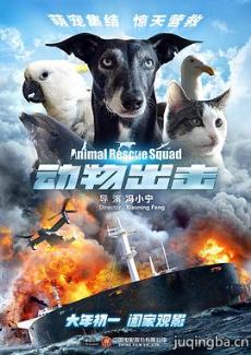 动物出击剧情介绍