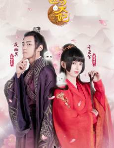 通灵妃剧情介绍(1-16全集)