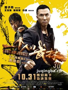 一个人的武林剧情介绍