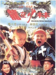 电影龙在少林剧情介绍