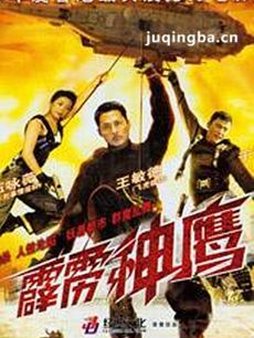 霹雳神鹰剧情介绍