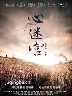 电影心迷宫剧情介绍