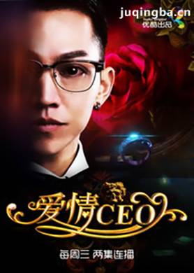 硶CEO(1-14ȫ)