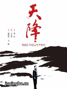 电影天降剧情介绍